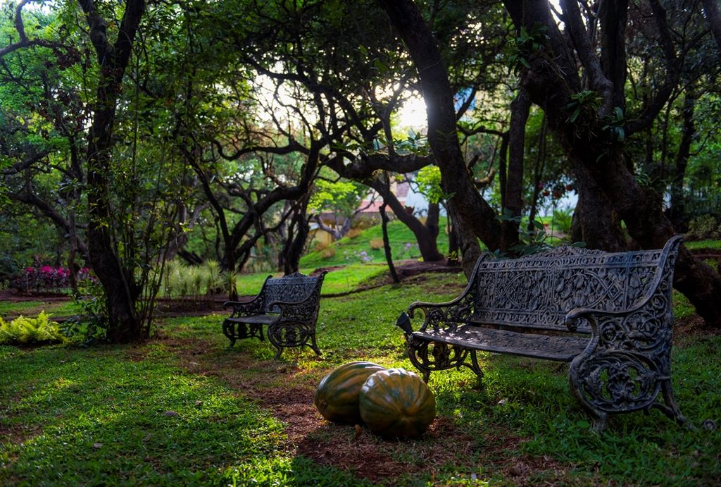 Le Meridien Mahabaleshwar Resort & Spa Exteriér fotografie